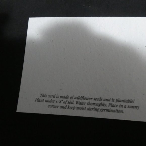 Meet The Posher - Picture 9 of 16